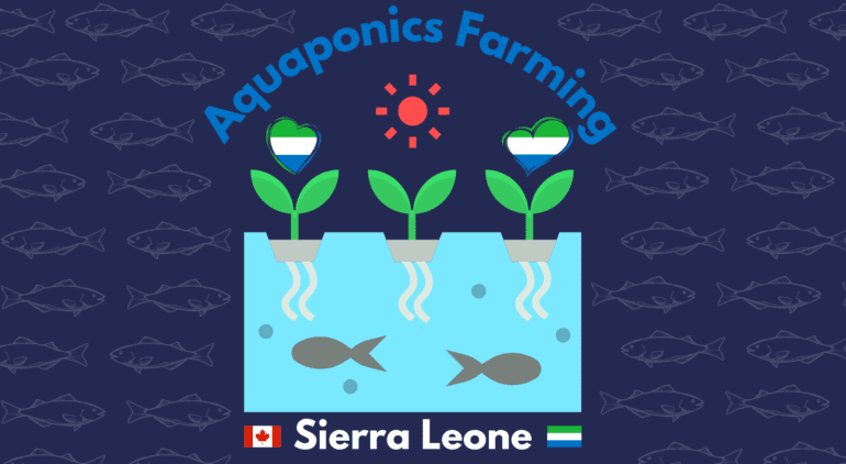 Aquaponics Farming