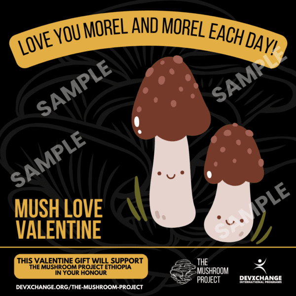 Mush Love Valentine - Image 4