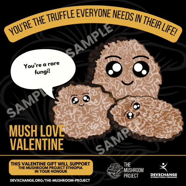 Mush Love Valentine - Image 5