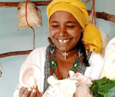 The Mushroom Project