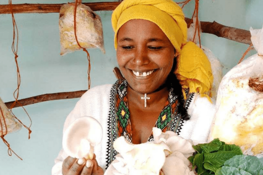 The Mushroom Project