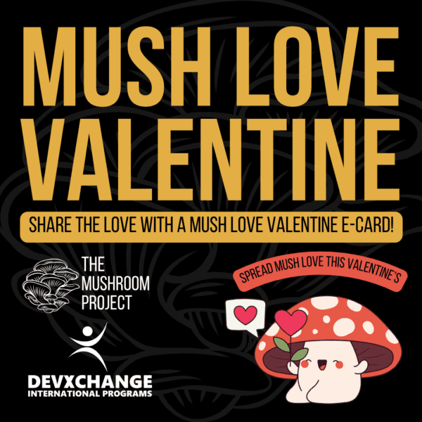 Mush Love Valentine